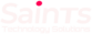 Saints Technology Solutions