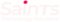 Saints Technology Solutions